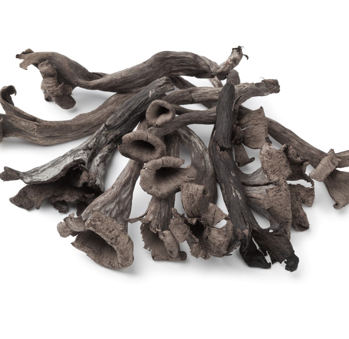 Black-trumpet-mushrooms-cropped-square-darkened_c855fa6e-830b-470b-a1af-162ea22294d8 Dried Wild Black Trumpet Mushrooms - Image 1