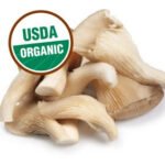 ***FRESH Organic Oyster Mushrooms - Image 2