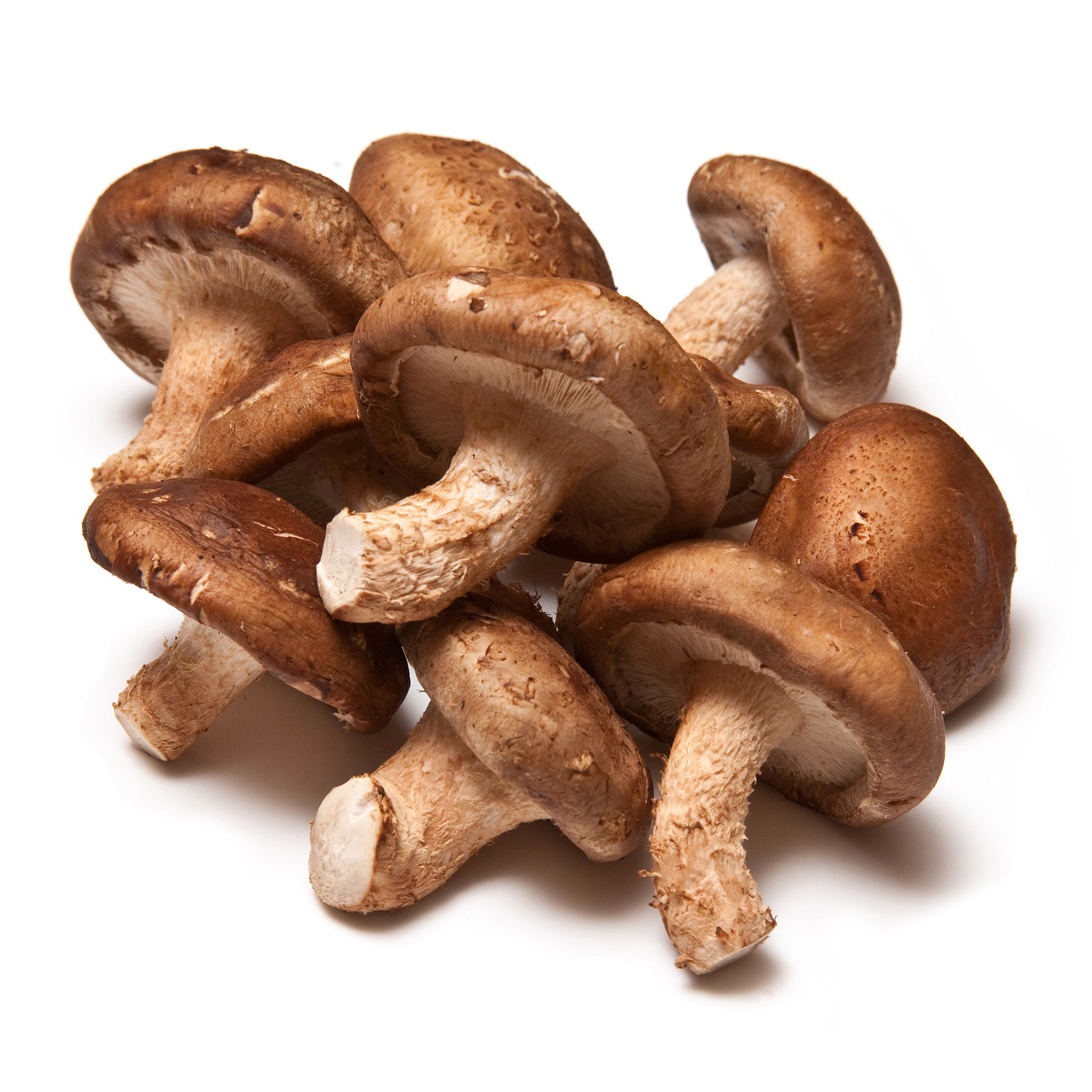 FreshOrganicShiitakeMushrooms ***FRESH Organic Shiitake Mushrooms - Image 1