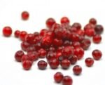 Fresh Frozen Wild Lingonberries - Image 2