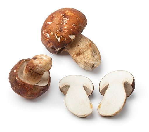 frozenporcini Fresh Frozen Porcini Mushrooms - Image 1