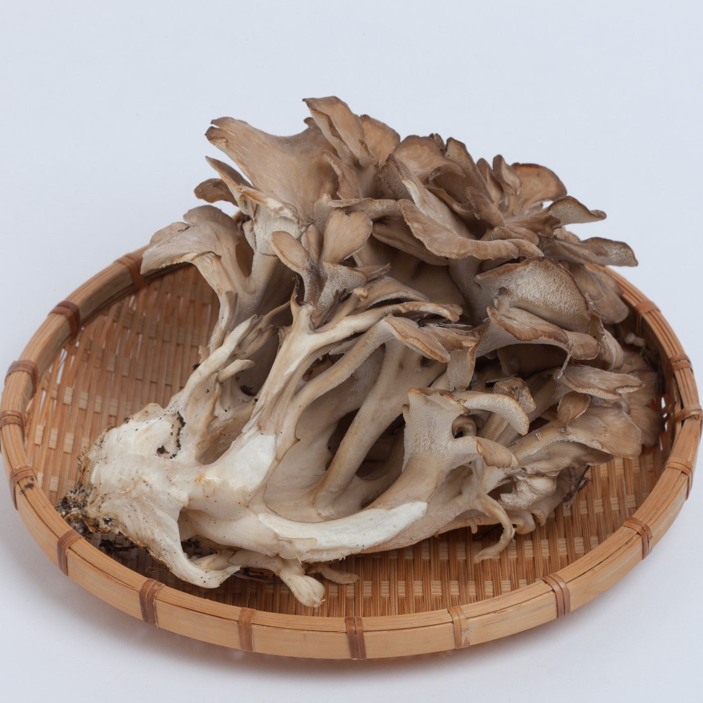 maitake-cropped-square_e7e55156-c612-4dee-b0af-77743b6e635b Fresh Frozen Organic Maitake Mushrooms - Image 1
