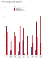 Fresh Frozen Organic Honeyberries - Image 6
