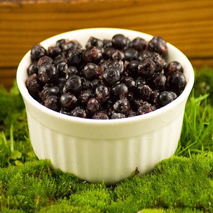 wild-bilberries Fresh Frozen Wild Bilberries - Image 1
