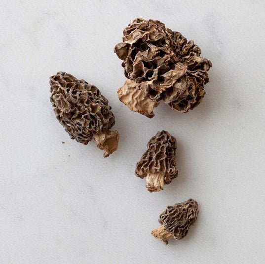 wilddried-morel-mushrooms Dried Morel Mushrooms - Image 1